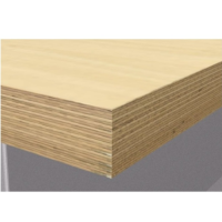 Столешница ФЕРРУМ  680х435х36 мм из шлифованной фанеры для столярного верстака 02.100-A07