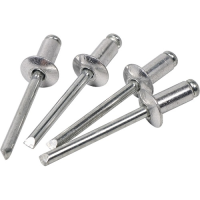 Заклепки комбинированные 4,0х 8 мм алюминий-сталь 2 Бригадира (20 шт.)